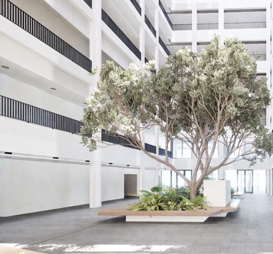 To Let commercial Property for Rent in Cape Town City Centre Western Cape